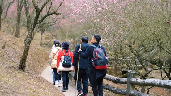 fdc8d091143fe392fdeb44077872863